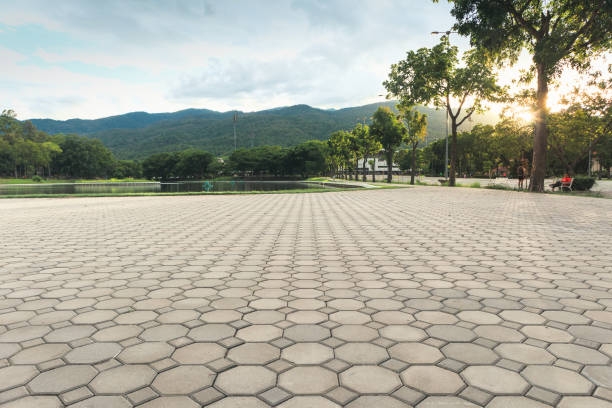 Best Professional Driveway Pavers  in Halls, TN